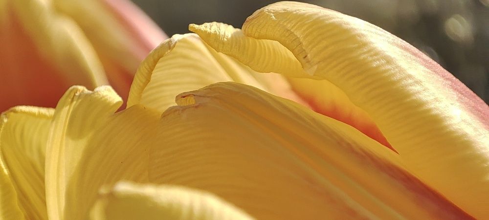 Photograph by Милена Полтавец