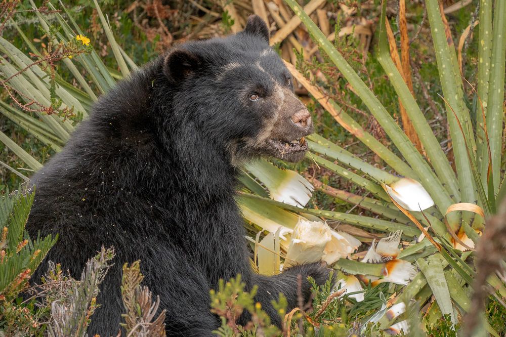 Photograph by María Paula Lozano