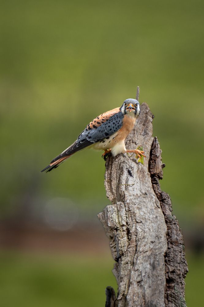 Photograph by María Paula Lozano