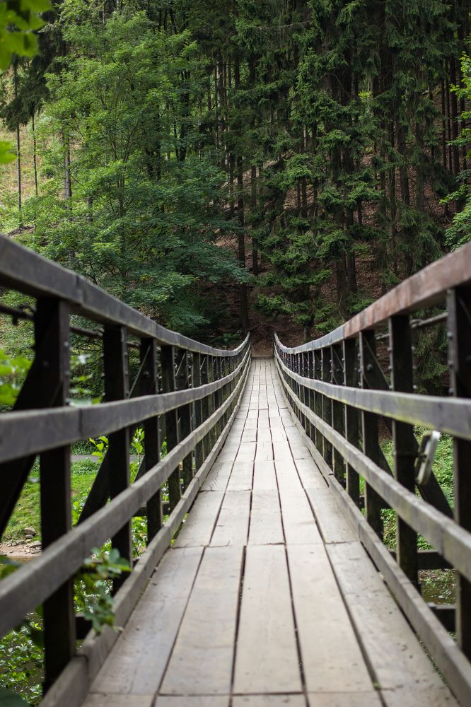 Photograph by Виталий Са