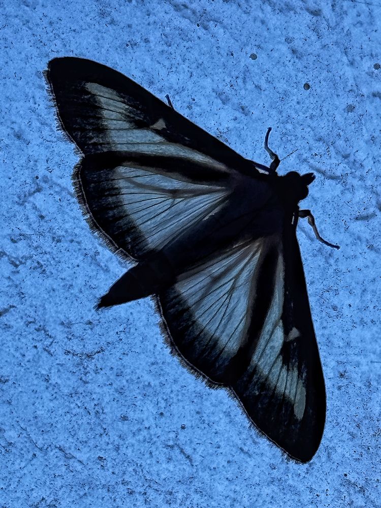 Photograph by Zhanna Kolesnikova