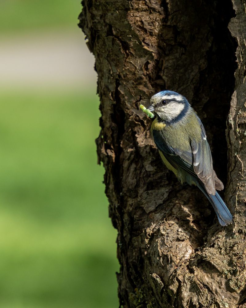 Photograph by Anton Leonchikov