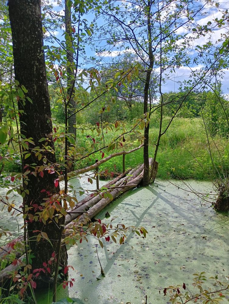 Photograph by Elena Mozhaeva