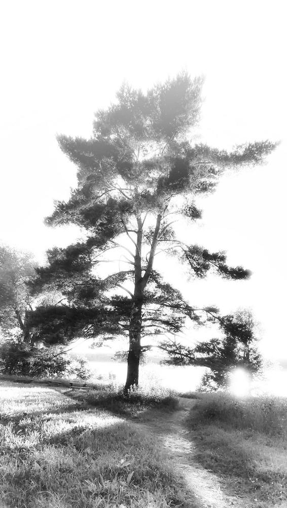 Photograph by Татьяна Куркова