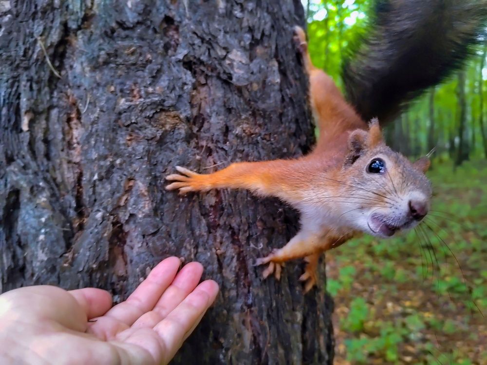 Photograph by Marina Mossiy