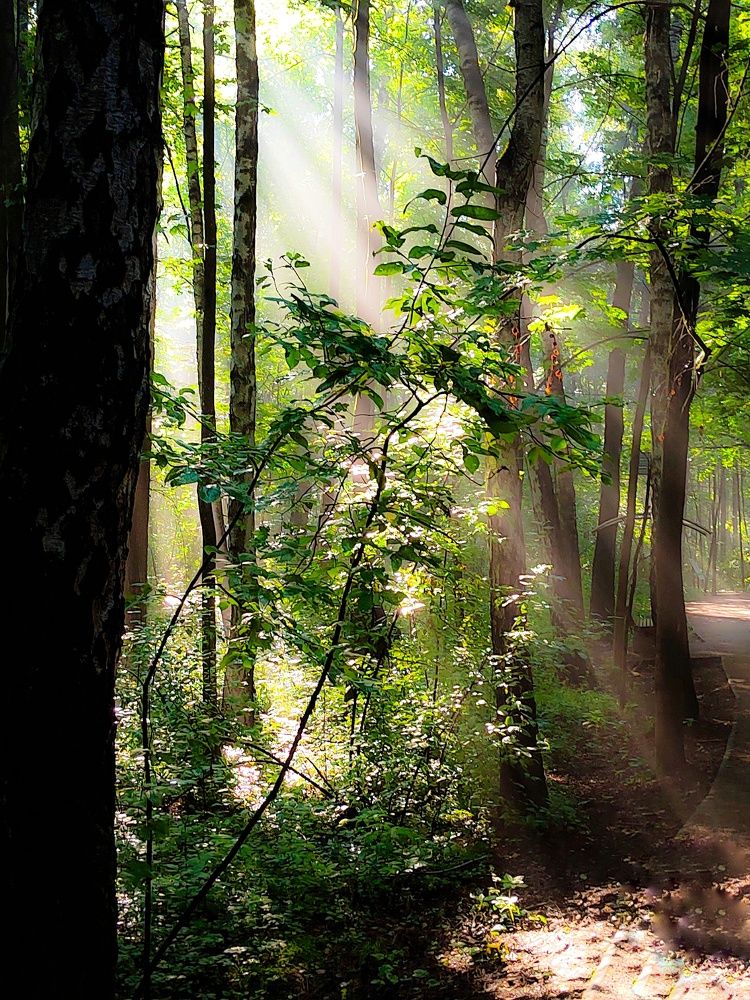 Photograph by Marina Mossiy