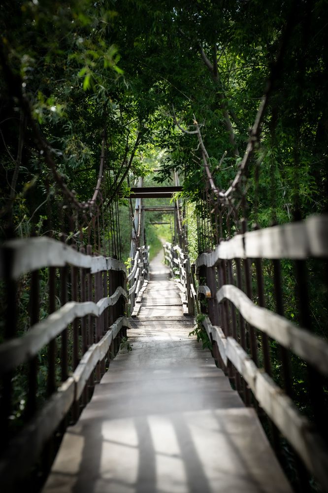 Photograph by Сергей Забиякин