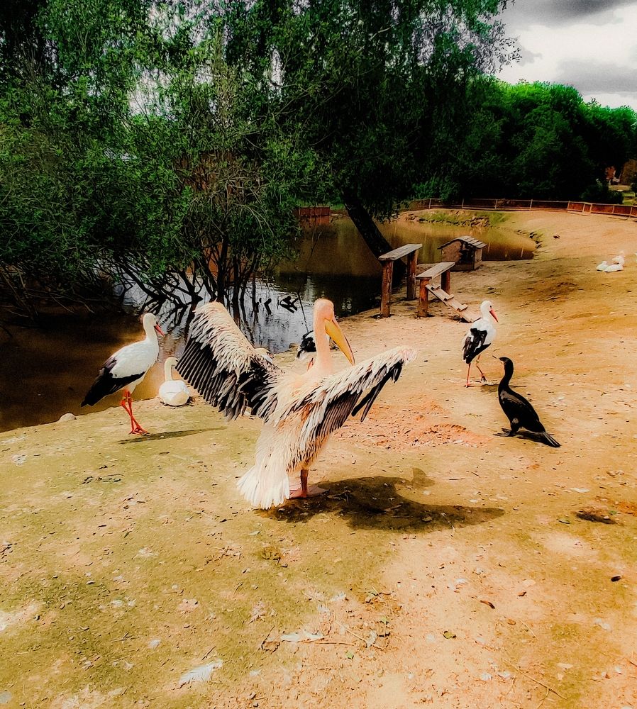 Фотография автора Нина Зинченко