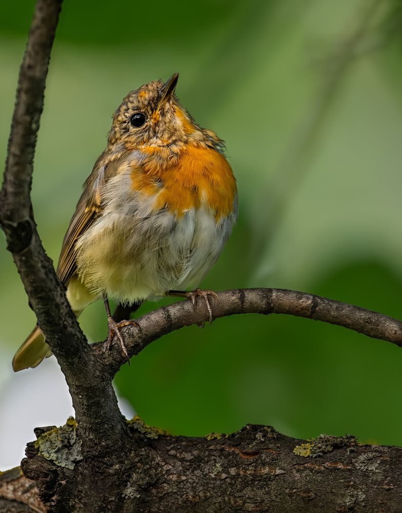 Photograph by Курлянцев Алексей