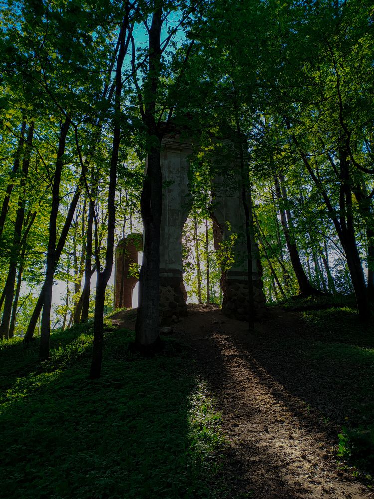 Photograph by Людмила Емельянчикова