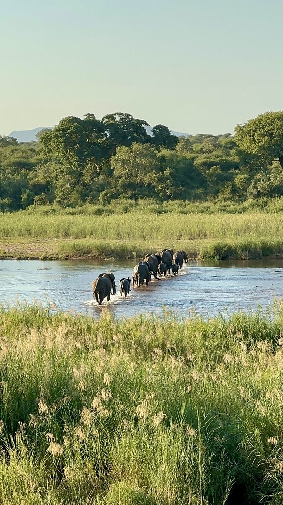 Photograph by Anton Kuzmin