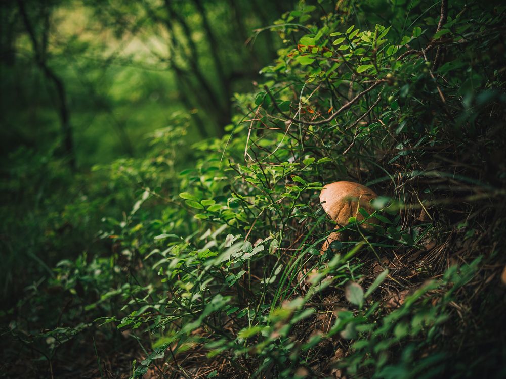 Photograph by Владимир Поздняков