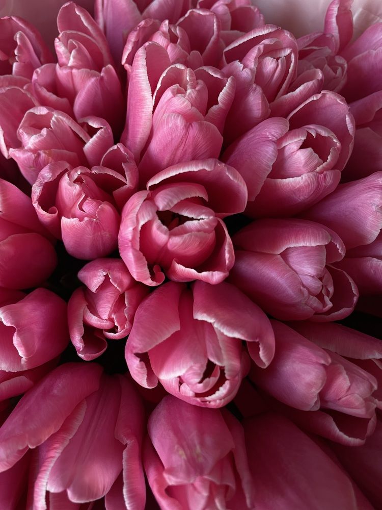 Photograph by Екатерина Мирошникова