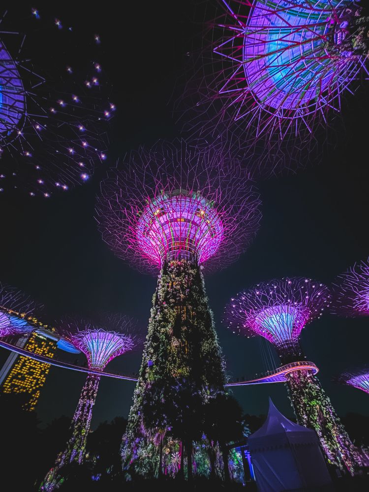 Photograph by Дулова Анастасия