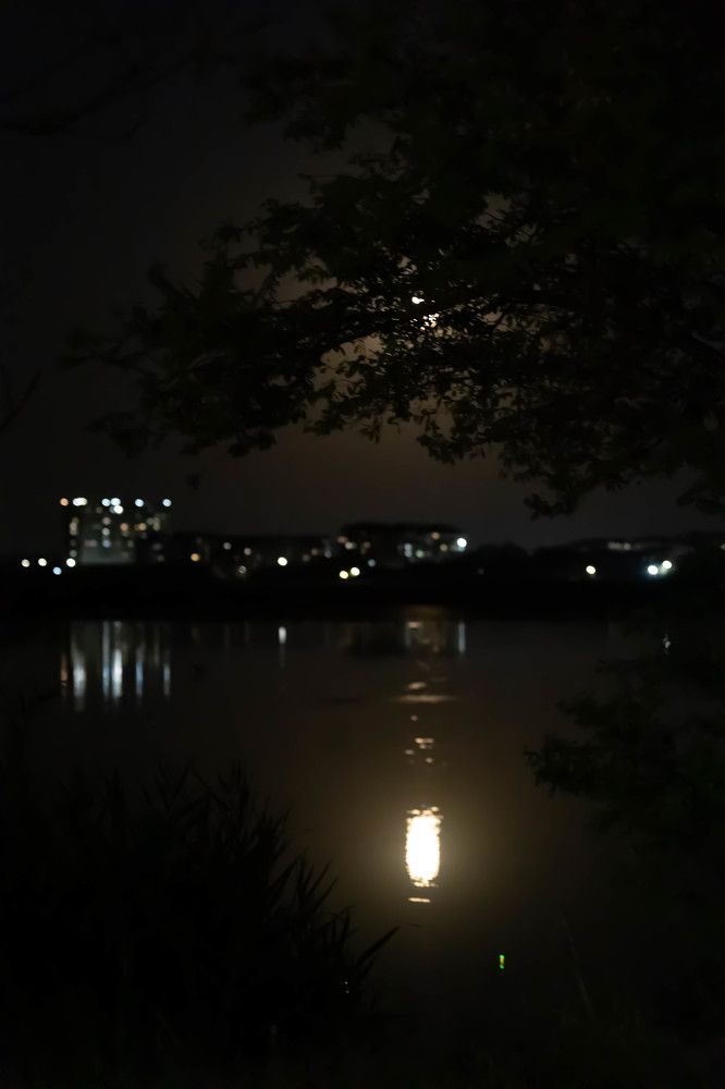 Photograph by Юлия Синицына