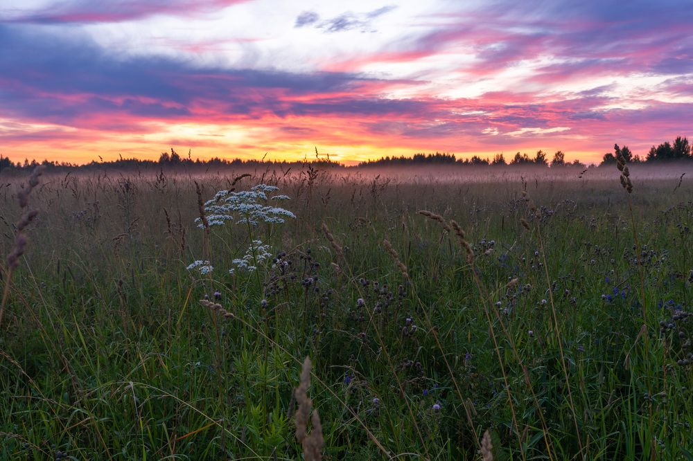 Photograph by Светлана Волкова