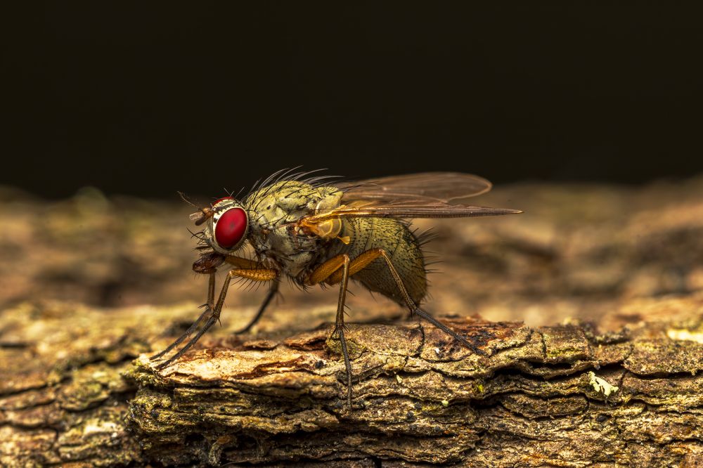 Photograph by Andrei Sabanov