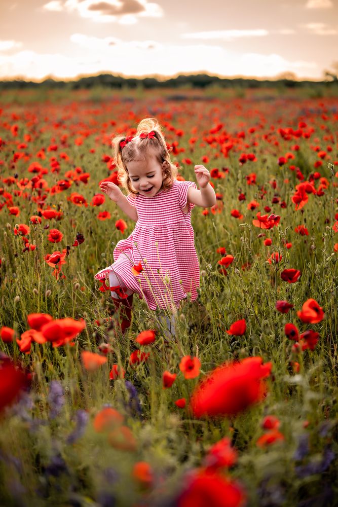 Photograph by Bálint Bernadett