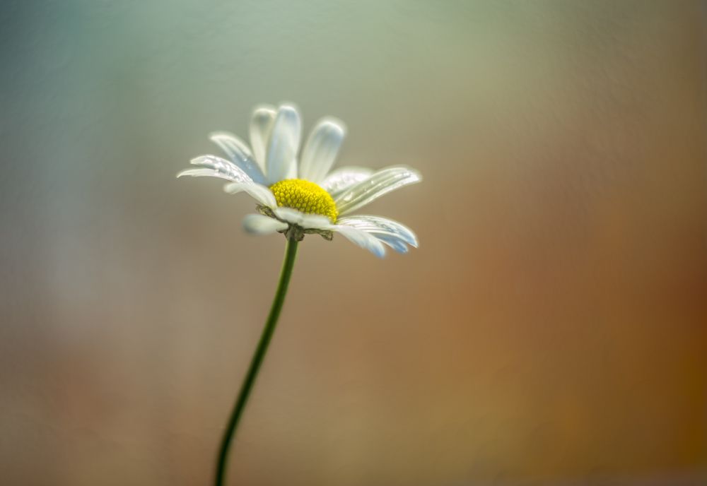 Photograph by Василий Либко
