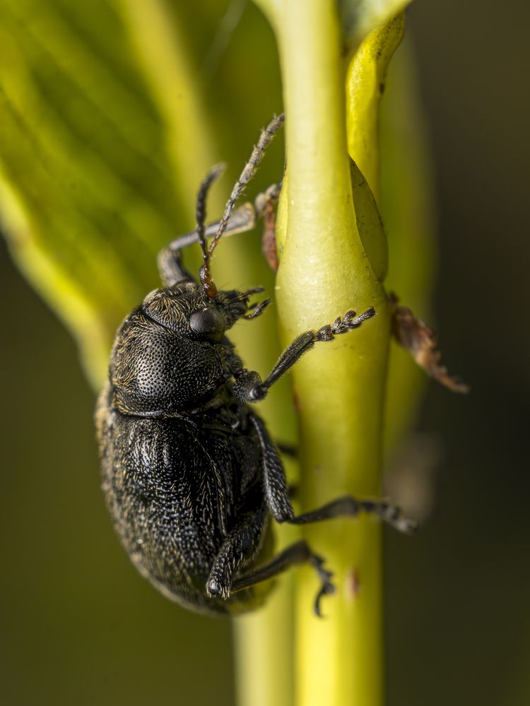 Photograph by Andrei Sabanov