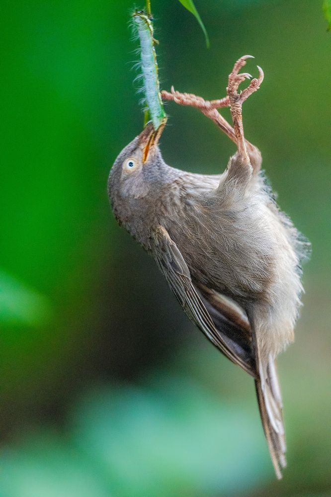 Фотография автора Sajeev Krishnan