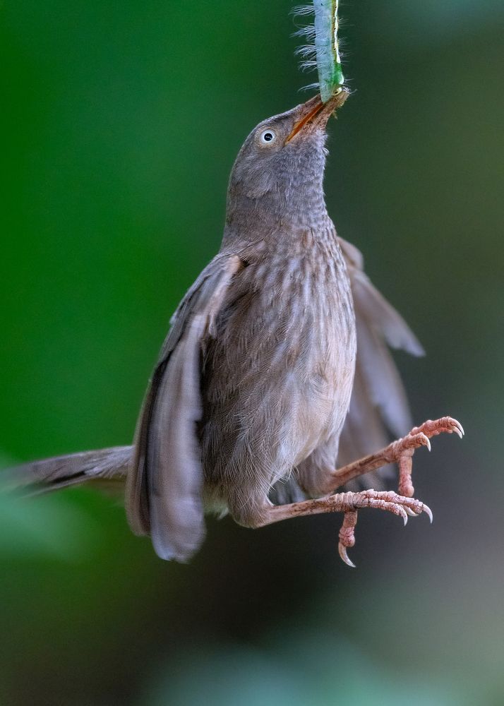 Фотография автора Sajeev Krishnan