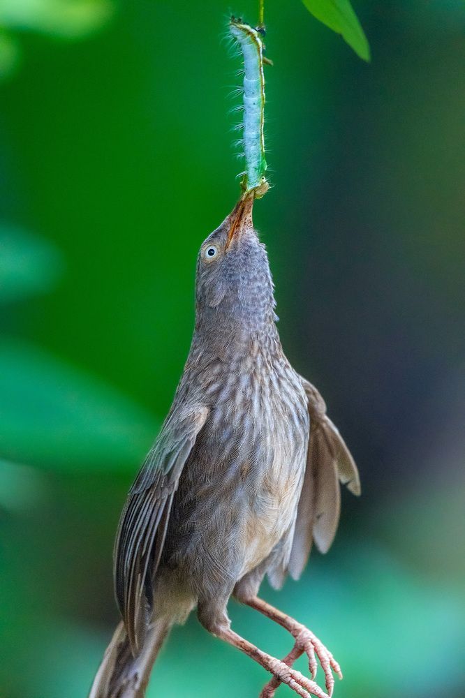 Фотография автора Sajeev Krishnan