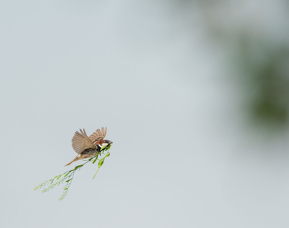 Фотография автора Sajeev Krishnan