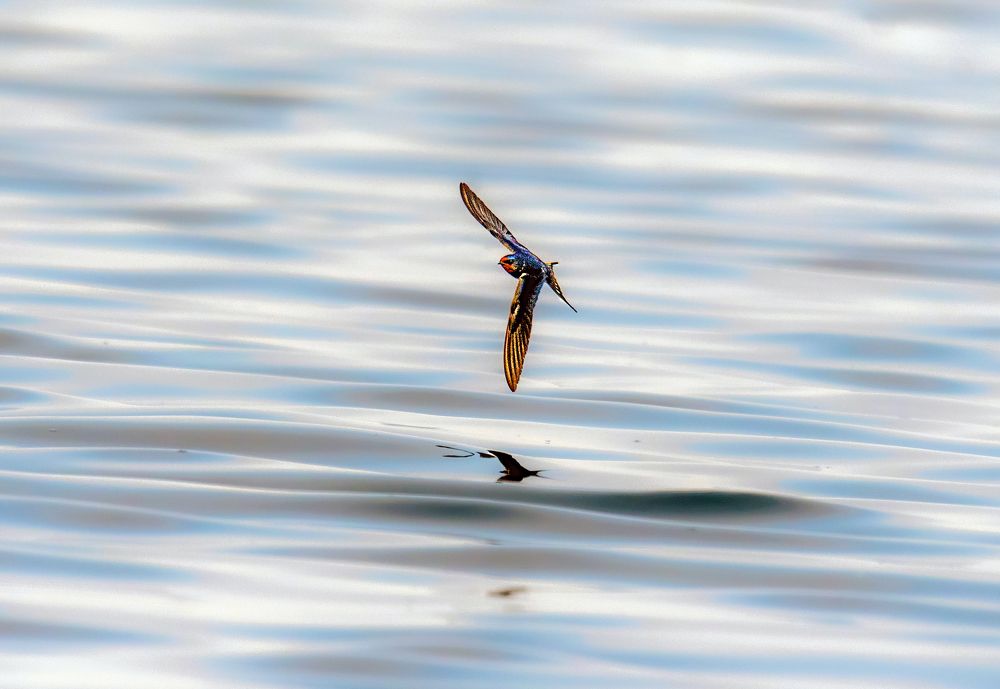 Фотография автора Sajeev Krishnan