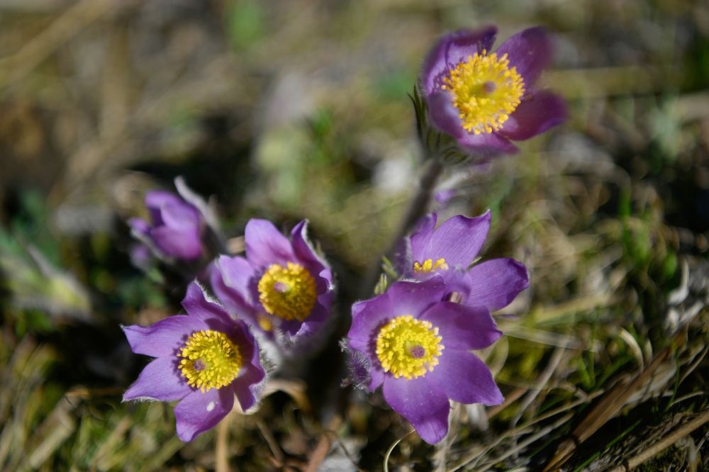 Photograph by Светлана Крат