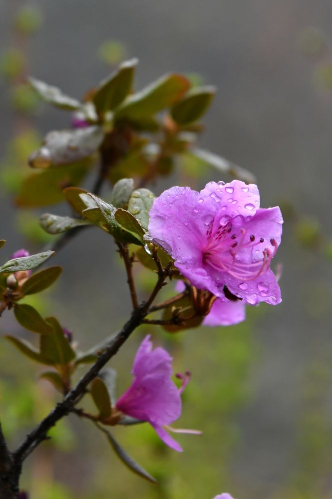 Photograph by Светлана Крат