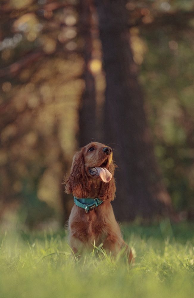 Фотография автора Егор Шакиров
