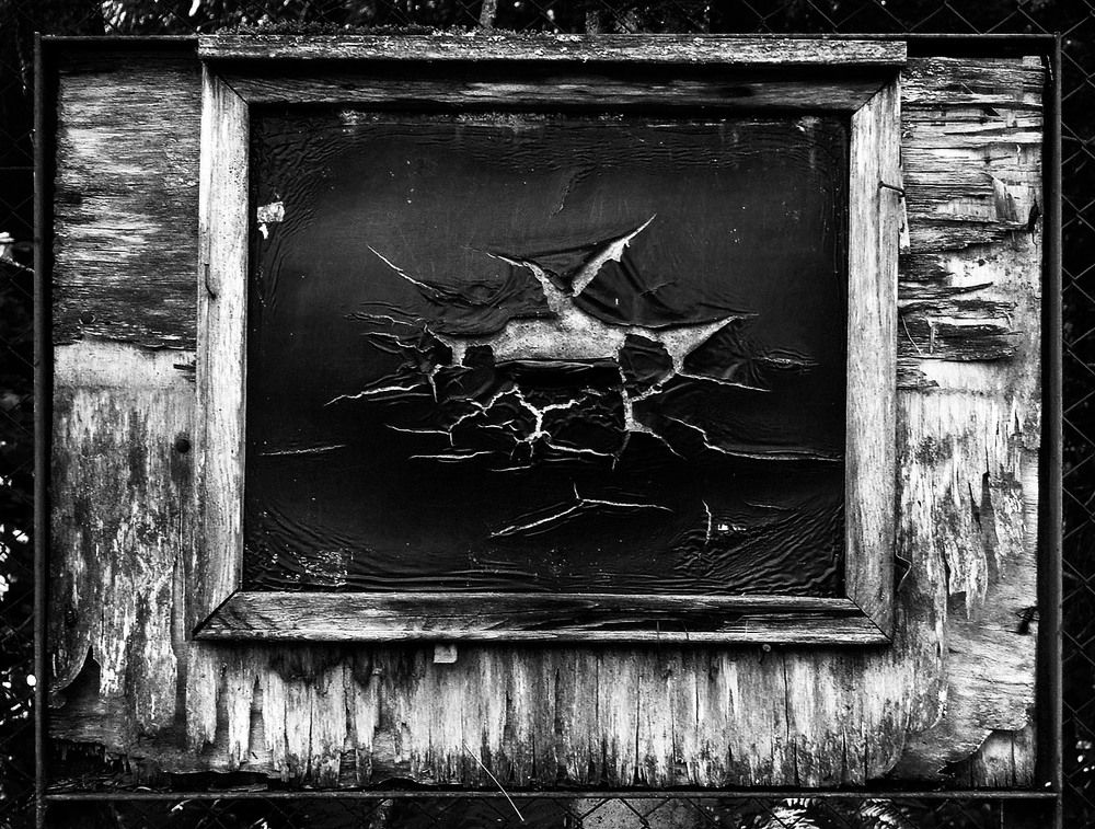 Photograph by 