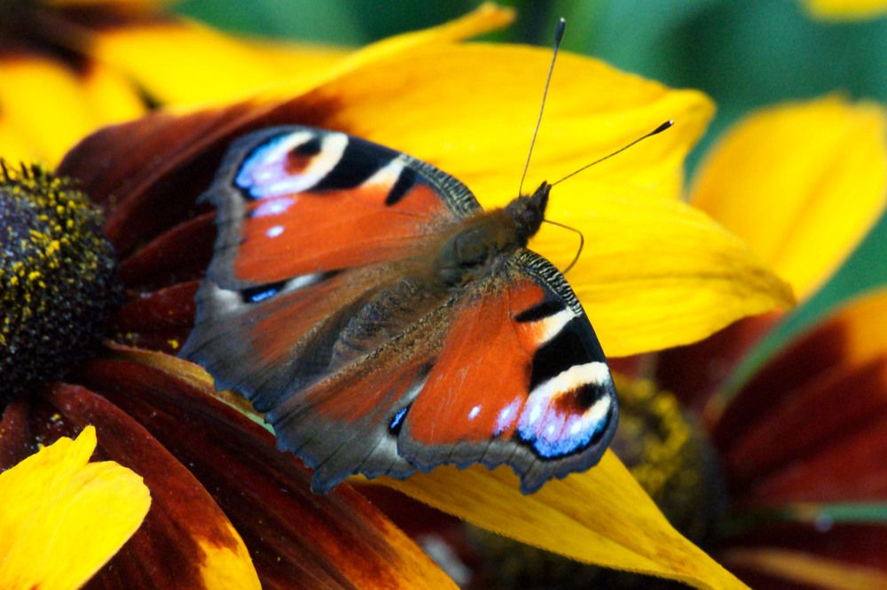 Photograph by Yroslava Veretina