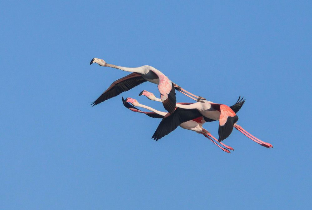 Photograph by Валентина Лопаткина