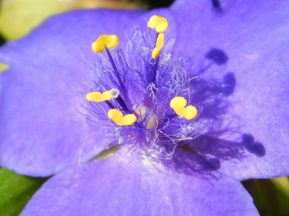 Photograph by Татьяна Колчанова