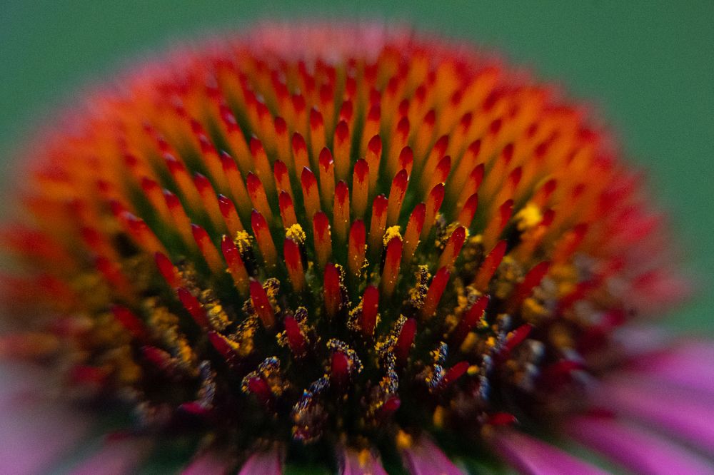 Photograph by Юлия Козельских