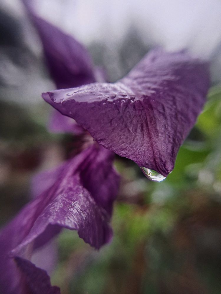 Photograph by Ольга