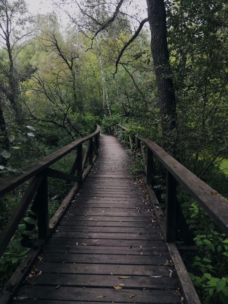 Photograph by Александр Алексеев