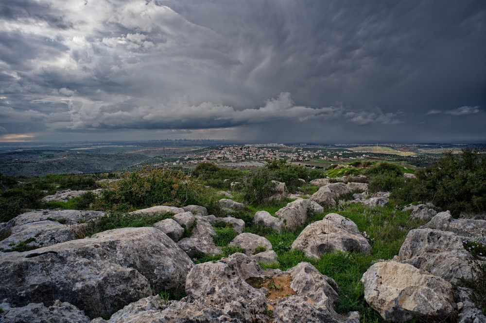 Фотография автора David Solodar