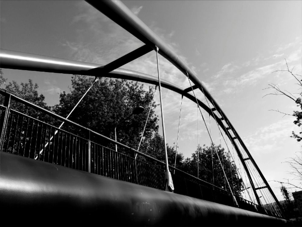 Photograph by Александр Алексеев