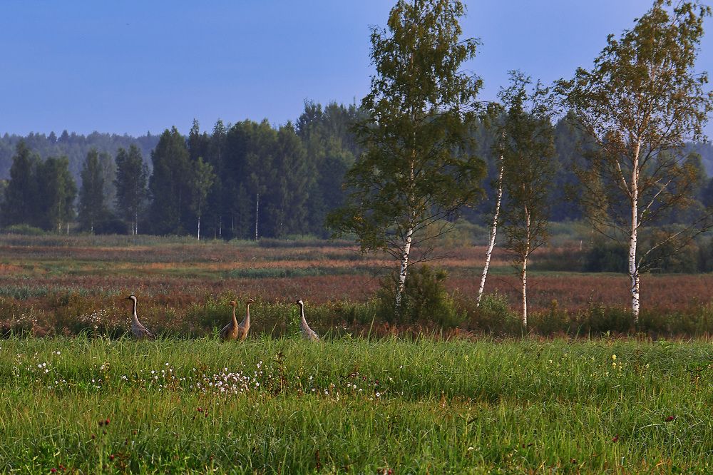 Photograph by Сергей Тельнюк