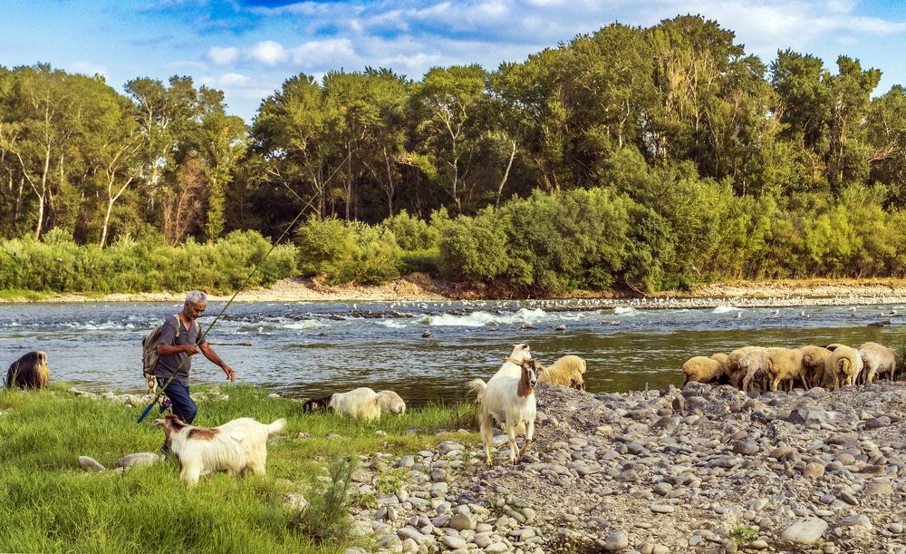 Photograph by Alex Kalpus