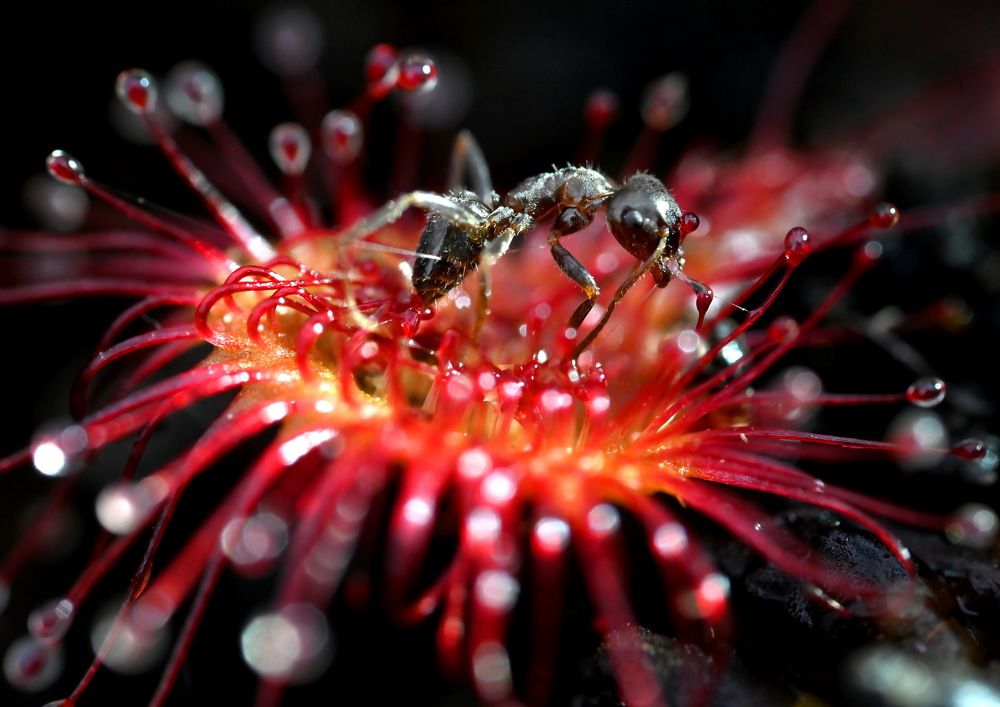 Photograph by Валерий Афанасьев