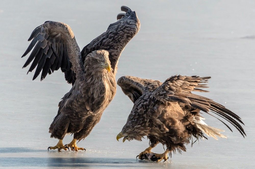 Photograph by константин