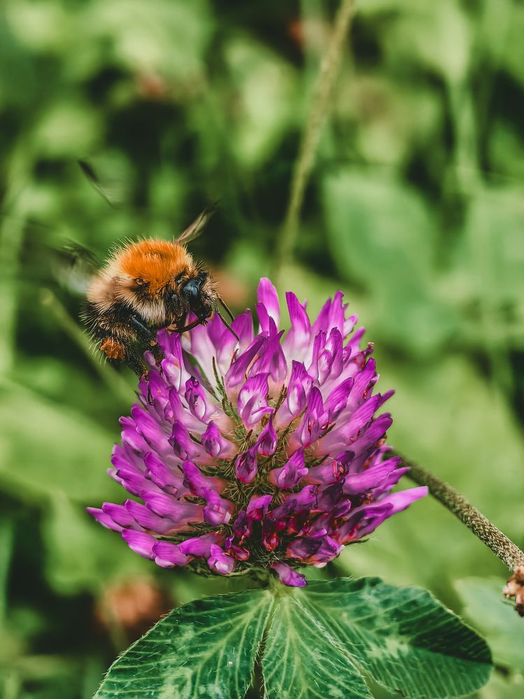 Фотография автора Владислав Белоус