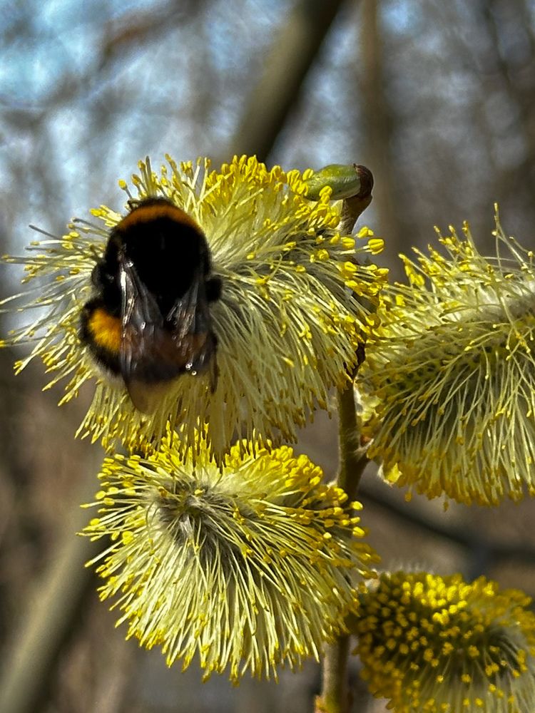 Photograph by Татьяна