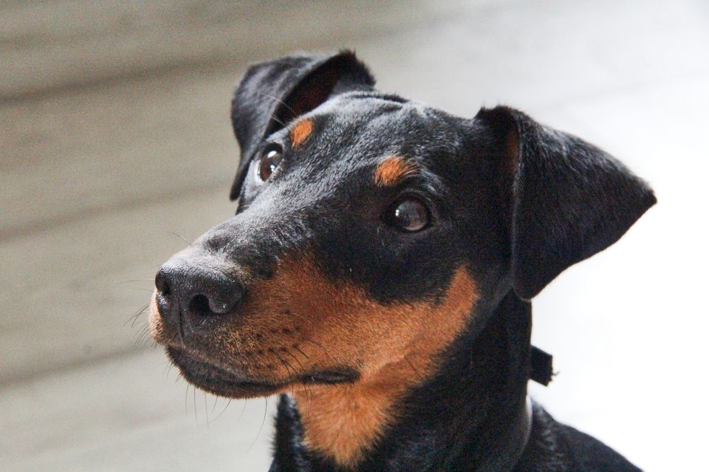 Фотография автора Наталия Мащенко