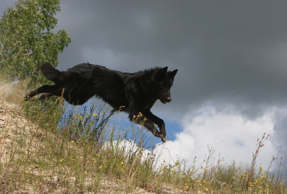Фотография автора Надежда Лисицына