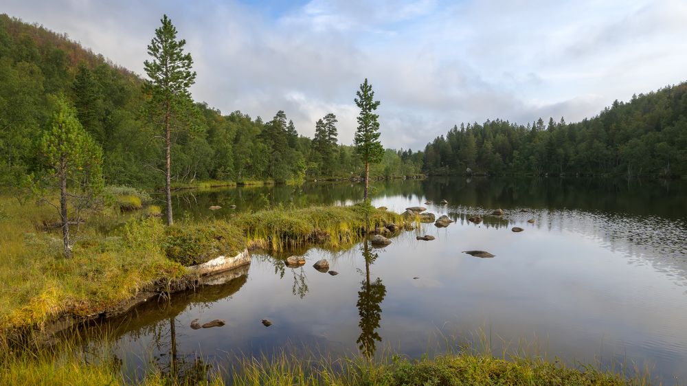 На озере Тихом